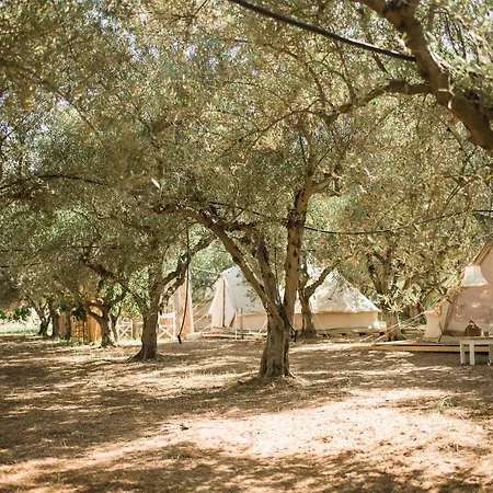 Odyssey Eco Glamping Galatás