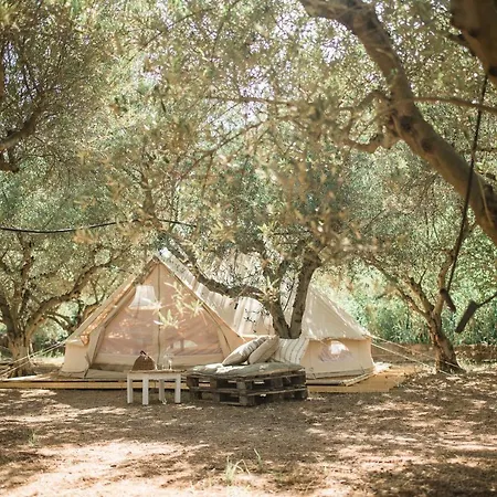 Odyssey Eco Glamping *