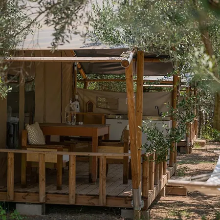 Odyssey Eco Glamping *