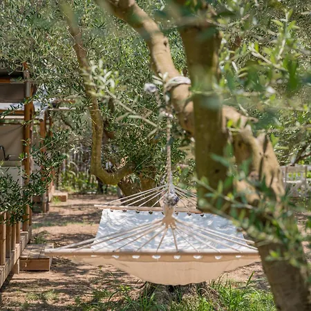 Odyssey Eco Glamping