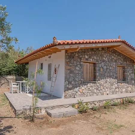 Odyssey Eco Glamping בקתה *