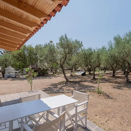 Odyssey Eco Glamping בקתה
