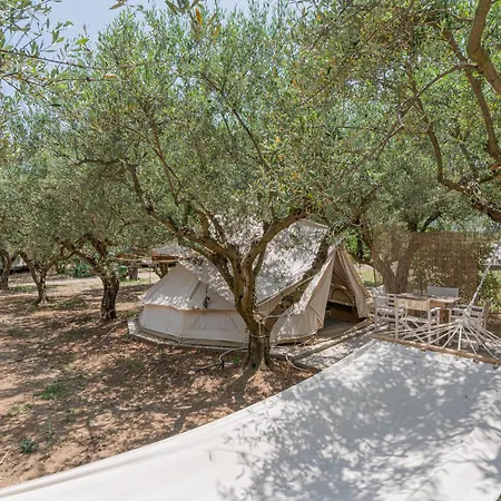 Odyssey Eco Glamping Chalet
